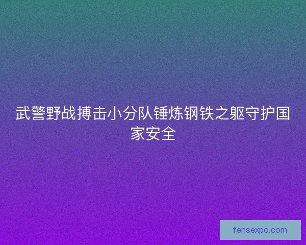 武警野战搏击小分队锤炼钢铁之躯守护国家安全