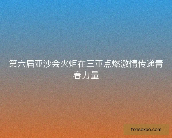 第六届亚沙会火炬在三亚点燃激情传递青春力量